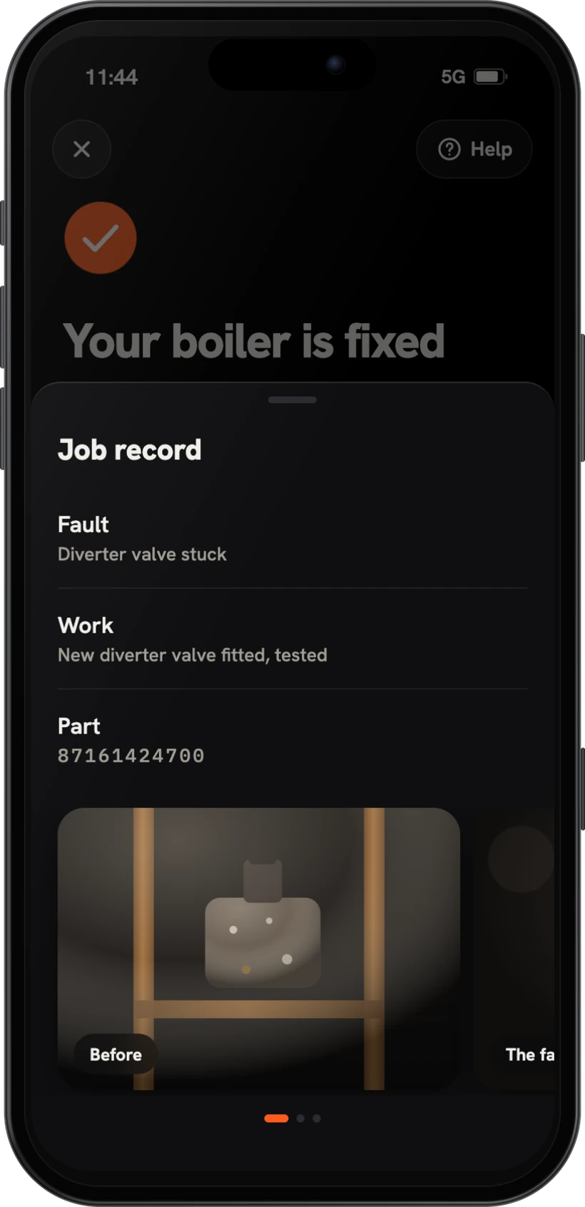 The job record